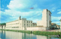 AMORA 1955.jpg