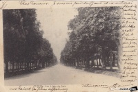 dijon allee du parc 1904.jpg
