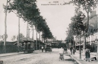 avenue de l'arsenal reproduction didier jacob.jpg